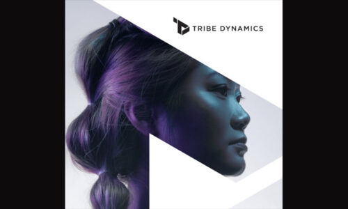 Tribe Dynamics’ Q4 2020 Indie Beauty Debrief spotlights notable indie beauty brands across cosmetics, skin care, and haircare in the U.S., along with two brands with standout performances in the EMEA region.