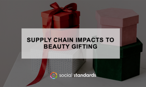 Data firm Social Standards investigates consumer concerns and behaviors related to supply chain issues ahead of Holiday shopping with a focus on beauty.